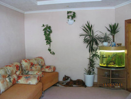 Отдых в Чемале.Горном Алтае. 6