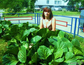 продаю баданы