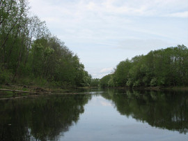 Продаю земельные участки у Рыбинского водохранилища, не дорого 2