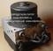 Блок ABS YL8T-2C219-AB Ford Escape Maverick Mazda Tribute
