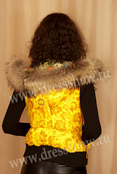 жилетка Денис Симачев