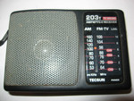 Tecsun 203T TV Sound