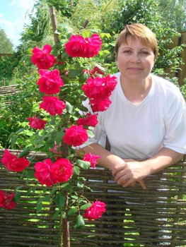 Ищу работу сиделкой,домработницей.