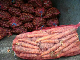 Морковь крупная Оптом от 20 тонн!