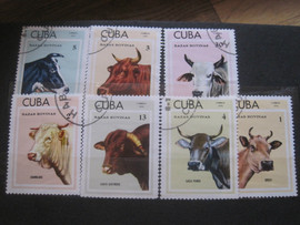Семь кубинских красочных марок на редкую тему "Коровы элитных по