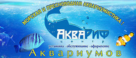 Компания «АкваРиф-Центр». Услуги по аквариумистике.