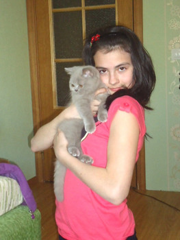 Замечательные Британские котята 4