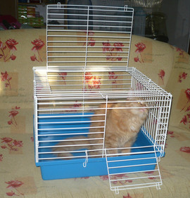 Клетка для животных