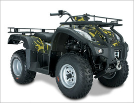 Квадроцикл ( мотовездеход ) Wild Cat ATV250-5