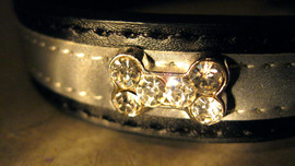 Ошейник "Люкс" стразы - косточки.. Новый. Размер 20мм*40мм. 3