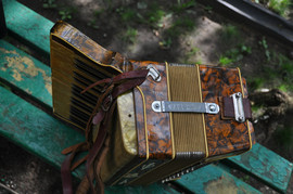 Антикварный аккордеон Galotta 1909 г., Германия 4