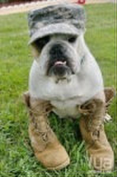 Служба в армии