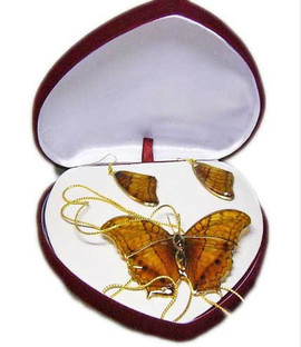 Комплект из настоящей бабочки в золоте