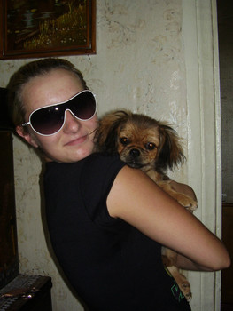 Щенок пекинес 2