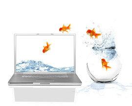 Услуги по чистке и обслуживанию аквариумов.