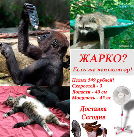Слыхали про жару Москве? Вентилятор turbo Maxwell