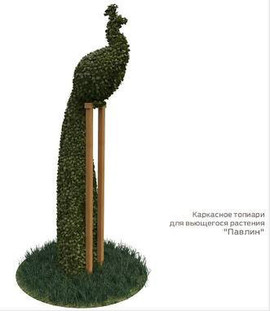 каркас топиари "Павлин на жердочке"