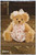 Медведица Сиерра 20 см Коллекция Settler Bears Австралия