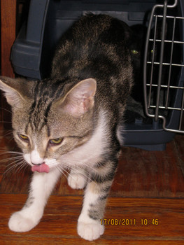 Надежда на любовь