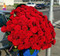 Шикарный букет 101 роза 90 см доставка бесплатно