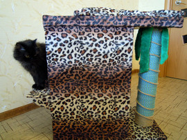 Домики для кошек и маленьких собак 3