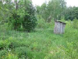 Дом 45 кв.м., свет, газ, вода, участок 18 сот., с.Ямкино 2