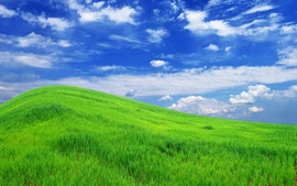 Услуги профессионального дизайнера 6