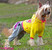 Спортивный костюм для собак ForMyDogs Street Art желтый для девочки