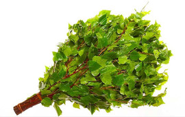 Продам березовые веники оптом, веники для бани.