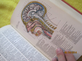 Энциклопедия 995 страниц с качественными рисунками Германия 7
