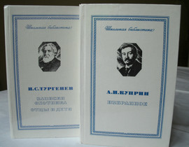 «Школьная библиотека» И.С. Тургенев