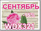 ТОЛЬКО В СЕНТЯБРЕ!!! Японские фасадные панели Nichiha WDX 321 (п