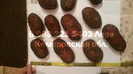 Картофель Ред Скарлет от 8 руб/кг