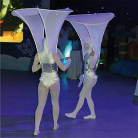 Ведущий на свадьбу 4