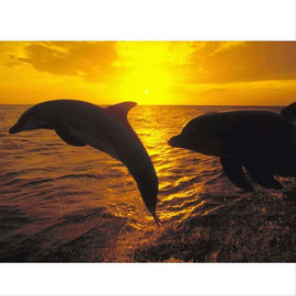 Ремонт, отделка, квартир, офисов, помещений.