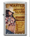 Зажигалка Zippo 206 Wanted Country Girl 2