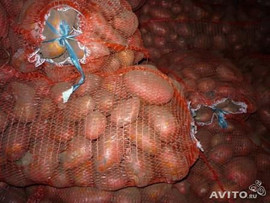 Экологически чистый картофель