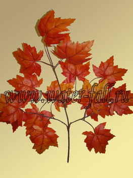 Искусственные и натуральные (стабилизированные) ветки и листья 4