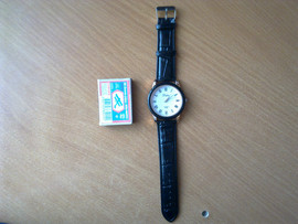 Продам в Нижнем Новгороде: Новые наручные часы Dalas 4