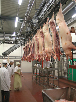 Мини бойня свиней 6