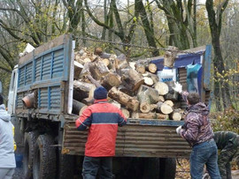 Дрова в Ставрополе, Михайловске