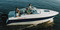 Купить катер (лодку) Афалина 520