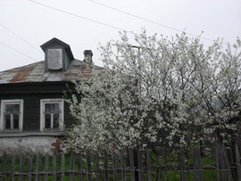 Дом бревенчатый 40 кв.м, ПМЖ, участок 16 сот., Киржачский р-н