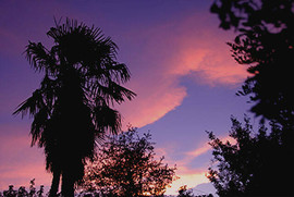 Фотоаппарат Konica Minolta DiMAGE Z10 4