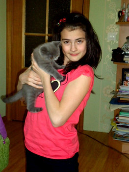 Замечательные Британские котята 6