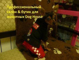 Профессиональный салон & бутик для собак и кошек Dog House
