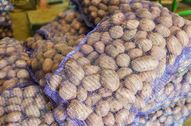 Картофель оптом по низким ценам