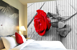 Рулонные шторы, Плиссе, Жалюзи горизонтальные/вертикальные, 7