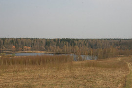 Продаю земельные участки у Рыбинского водохранилища, не дорого 6