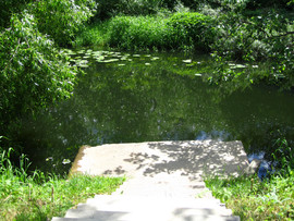 Продам участок 5 соток в Ленинском районе, 15 км от МКАД. 6